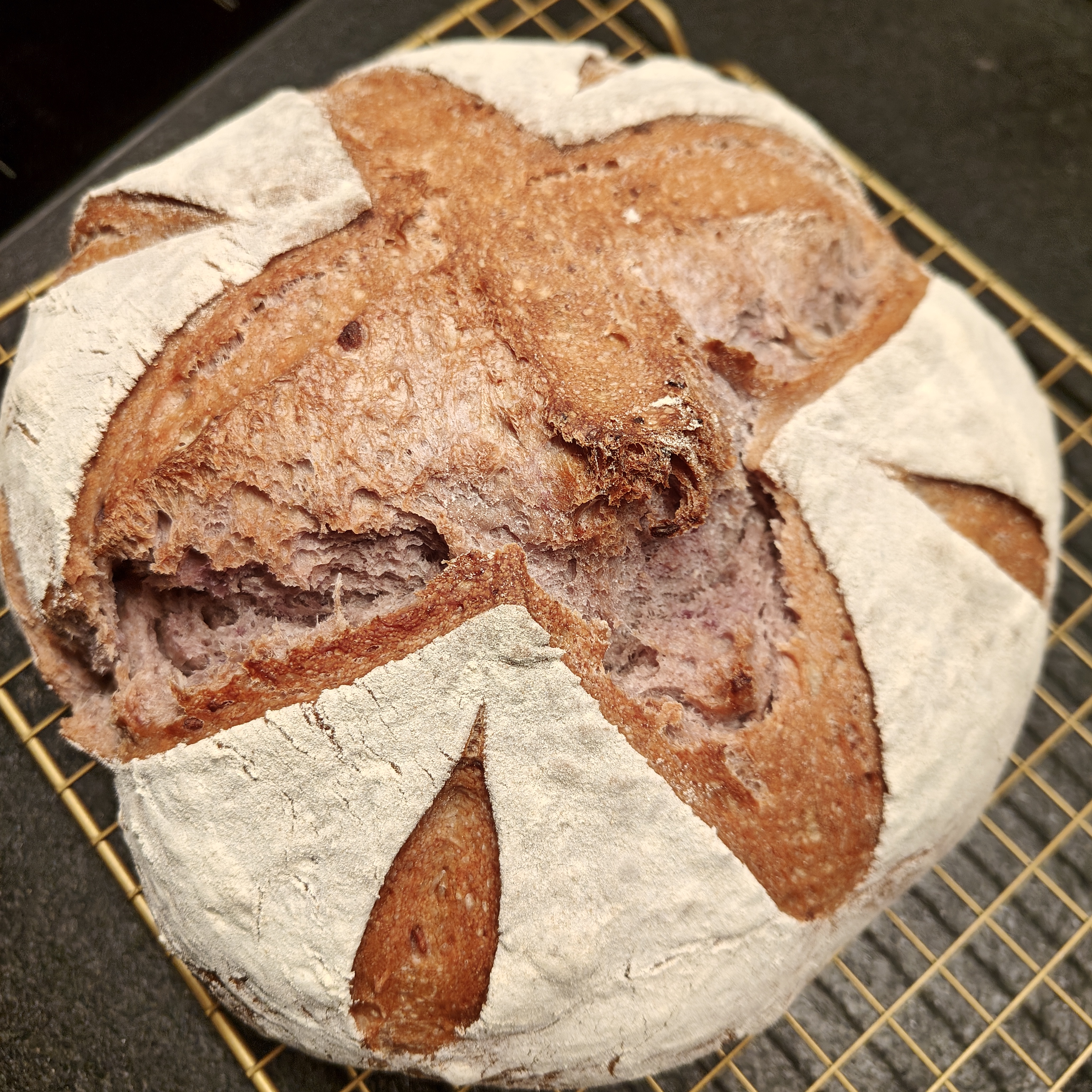 Bild vom Brot